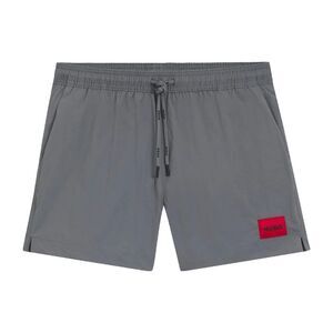 Hugo Mens Dominica Label Logo Swim Shorts / Gray